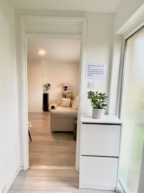 Single In House Homestay